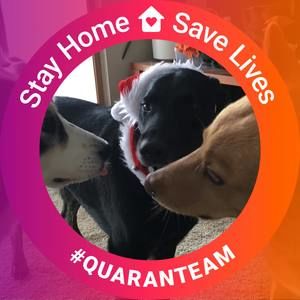 Meet your Posher, Jackie